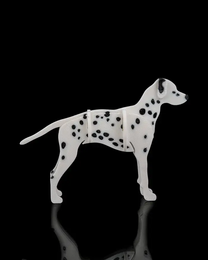 Dalmatian_Kit_Card1_903e36c1e2.webp