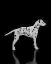 Dalmatian_Kit_Card1_903e36c1e2.webp