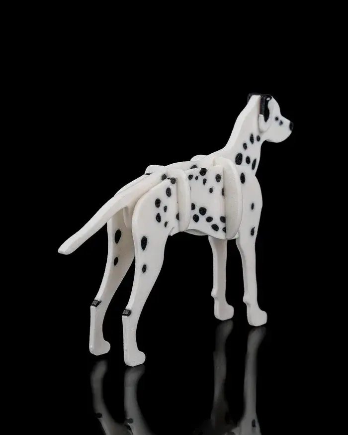 Dalmatian_Kit_Card2_86925e301c.webp