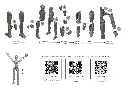 screenshot-2024-05-06-182921.webp