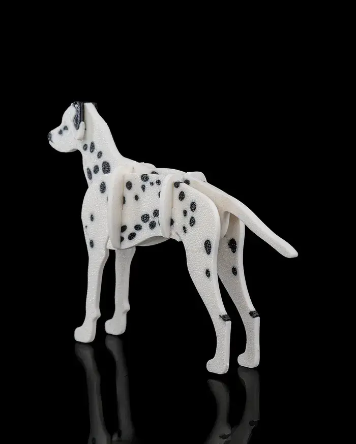 Dalmatian_Kit_Card3_9e2c544513.webp