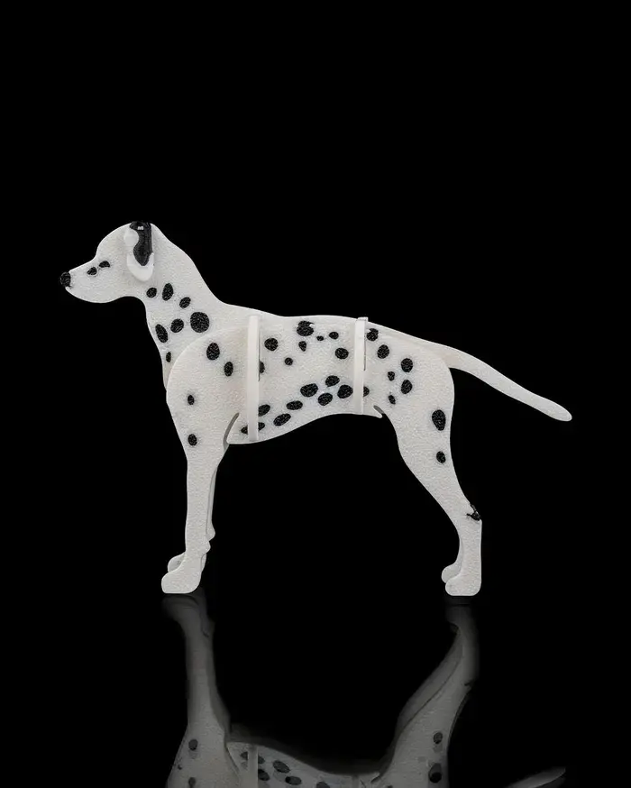 Dalmatian_Kit_Card4_ce551bcce9.webp