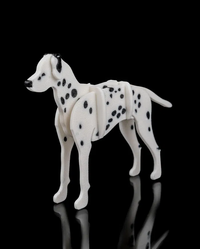 Dalmata (KitCard)