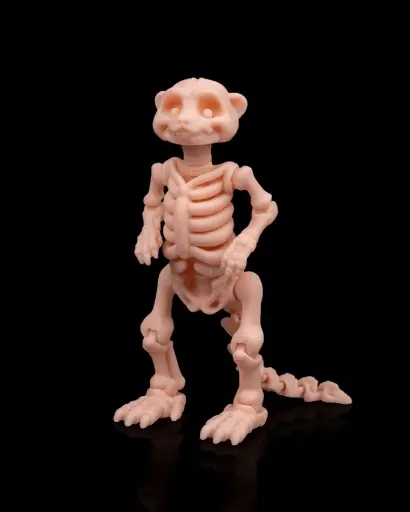 Suricate Esqueleto