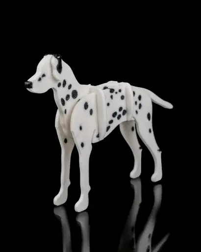 Dalmata (KitCard)